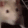 :ratjam: