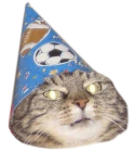 :wizard_cat: