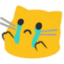 :cat_cry: