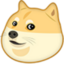 :doge: