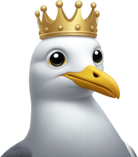 :kikigull: