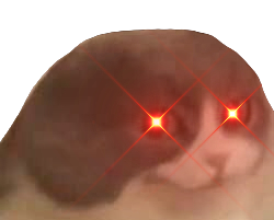 :cat_stare_activated: