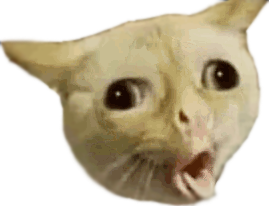 :tard_cat: