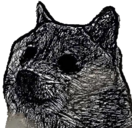 :doge_deadinside: