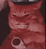 :blingcat: