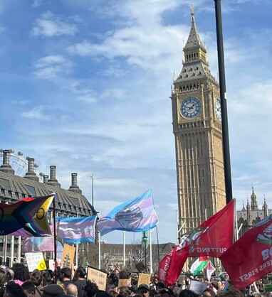 Crowd with trans and LGBTQAI+ flags in front of UK parliament building
