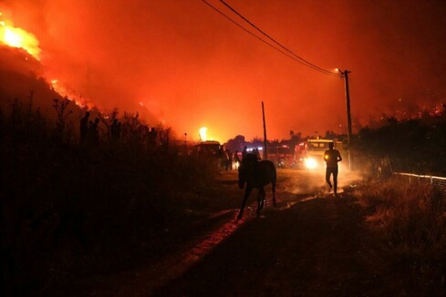 Turkey, Bulgaria battle wildfires amid Mediterranean heat wave