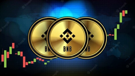 Canadian Firm Soars 550% on Plans to Lead U.S. BNB Treasury Holdings