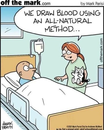 off the mark com by Mark Parisi

A nurse holding a cat addressing a patient. The patient has a startled look and the cat looks upset, all four paws sticking out.

“WE DRAW BLOOD USING  AN ALL-NATURAL METHOD...”