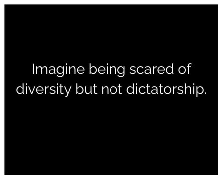 Text on a black background reads, "Imagine being scared of diversity but not dictatorship." The message is thought-provoking, prompting reflection on societal values.