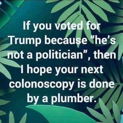 A meme with a green leafy background containing the words, “If you voted for Trump because he’s not a politician, then I hope your next colonoscopy is done by a plumber.”